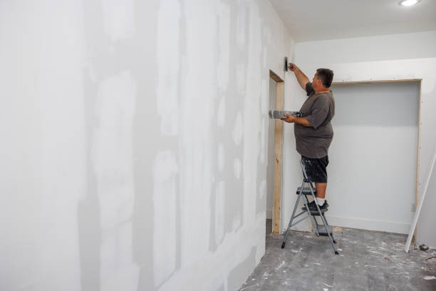 Best Post-Construction Mold Inspection  in Ives Estates, FL